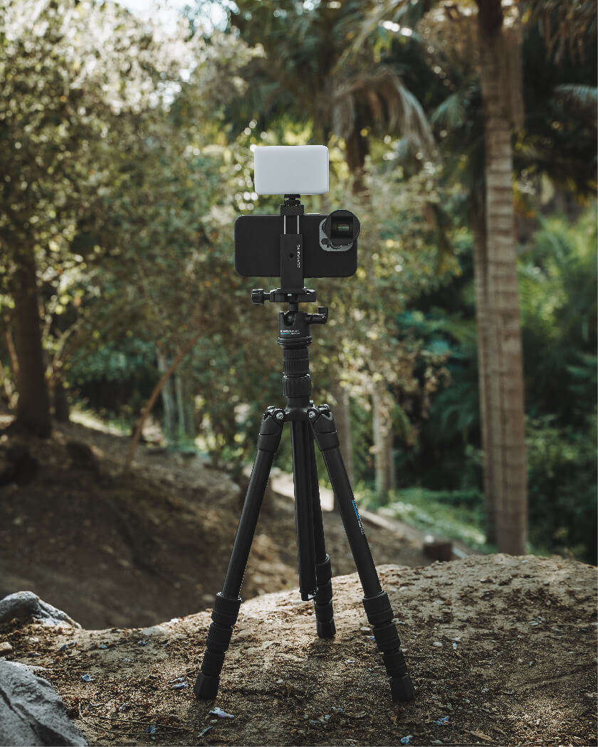 Home w1200 a077 greentri